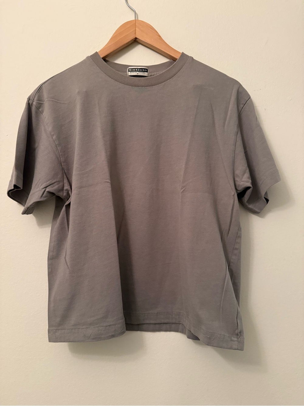 Men's Crew Neck T-Shirt in Gray